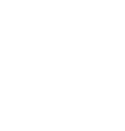 Nyati Group logo